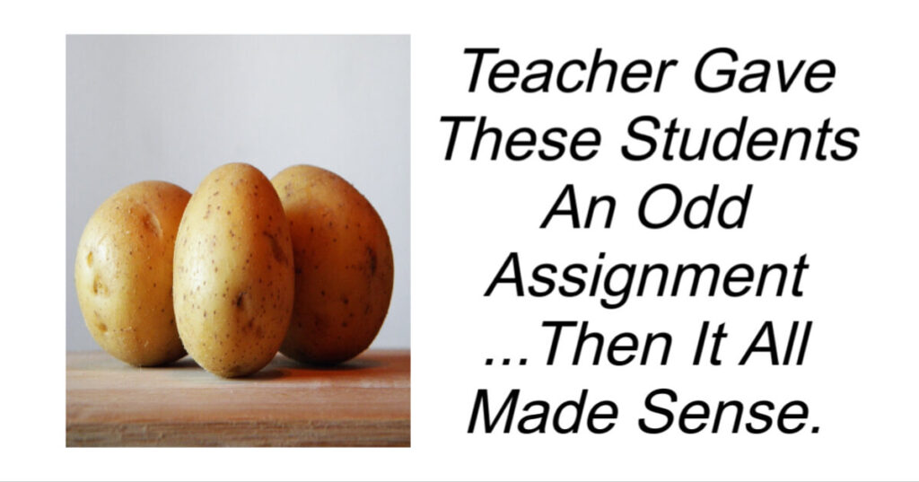 Teacher Gave These Students An Odd Assignment