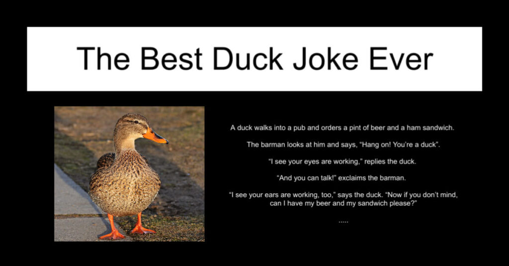 The Best Duck Joke Ever