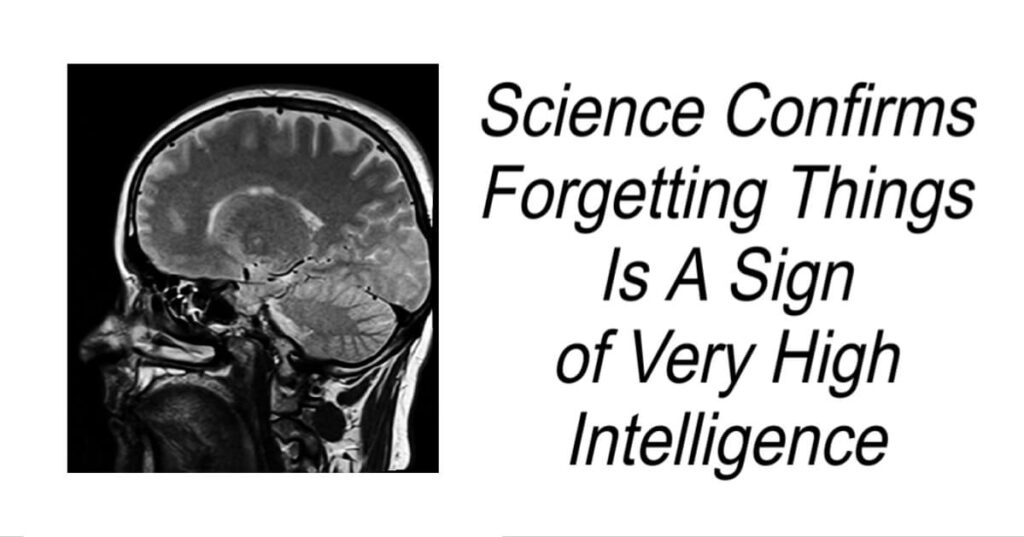 Forgetting Things Is Sign of Very High Intelligence