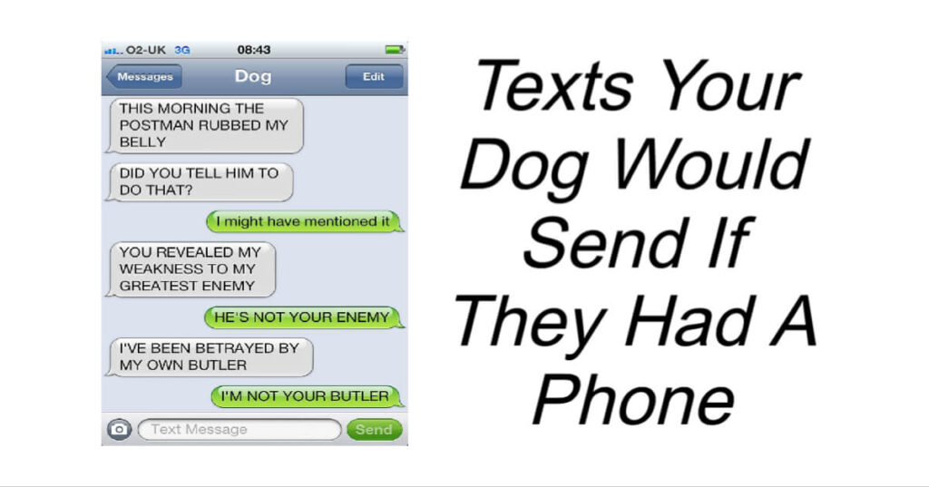 Texts Your Dog Would Send If They Had A Phone