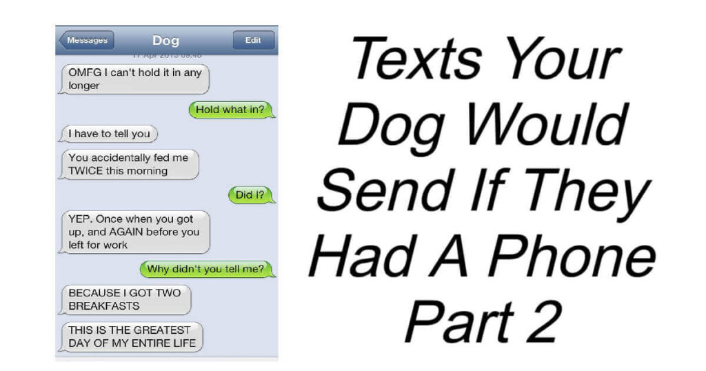 Texts Your Dog Would Send If They Had A Phone