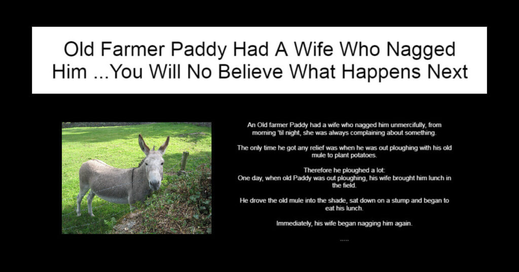 Old Farmer Paddy Had A Wife Who Nagged Him