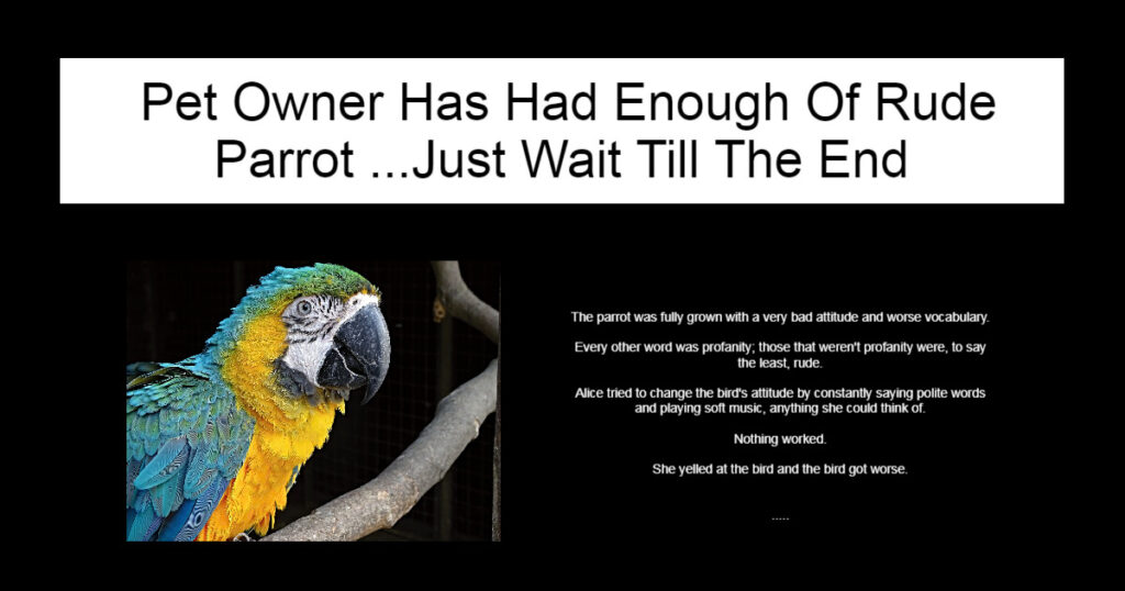 Pet Owner Has Had Enough Of Rude Parrot