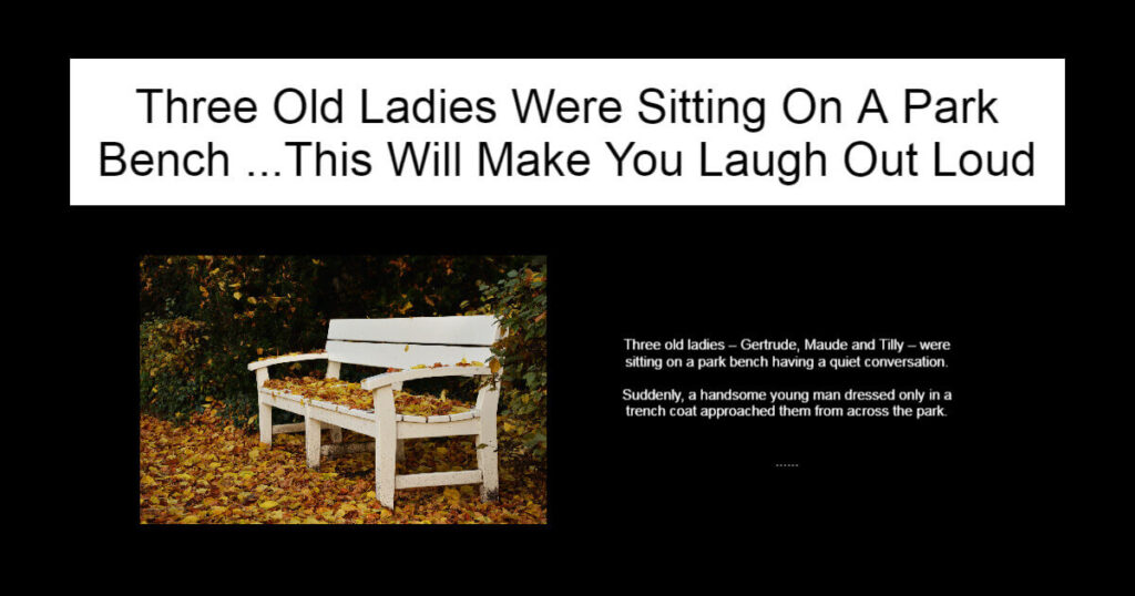 Three Old Ladies Were Sitting On A Park Bench