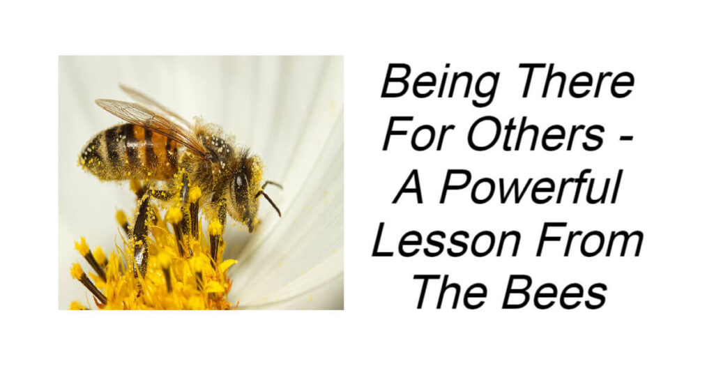 Being There For Others - A Powerful Lesson From The Bees