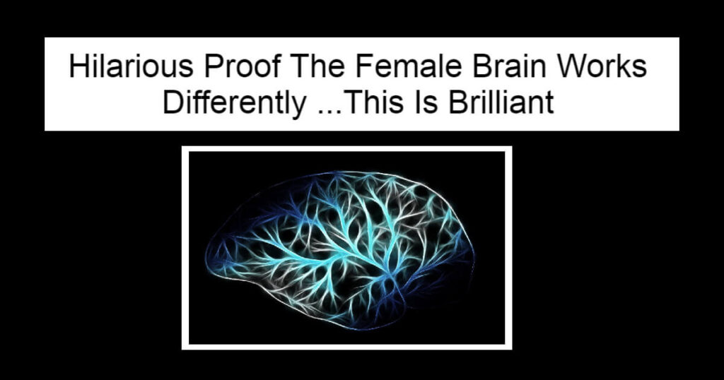 Hilarious Proof The Female Brain Works Differently