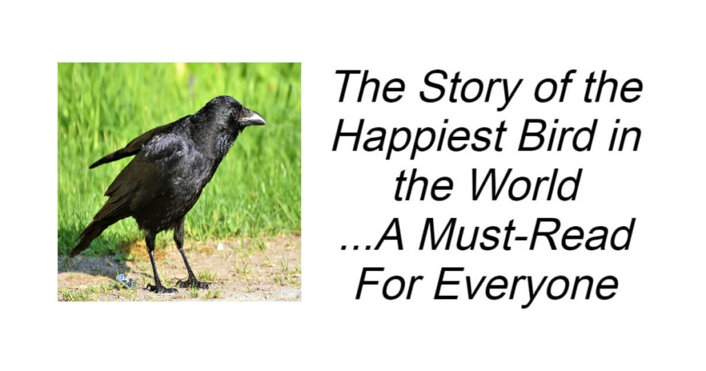 The Story of the Happiest Bird in the World
