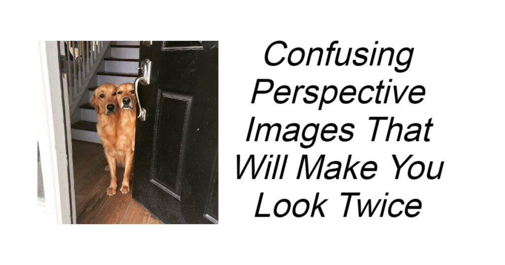 Confusing Perspective Images That Will Make You Look Twice