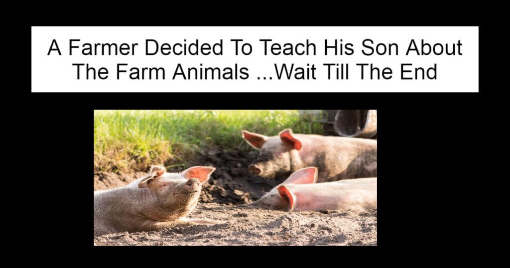 A Farmer Decided To Teach His Son About The Farm Animals