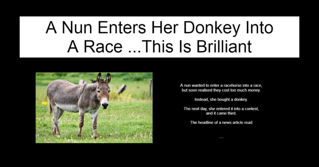A Nun Enters Her Donkey Into A Race