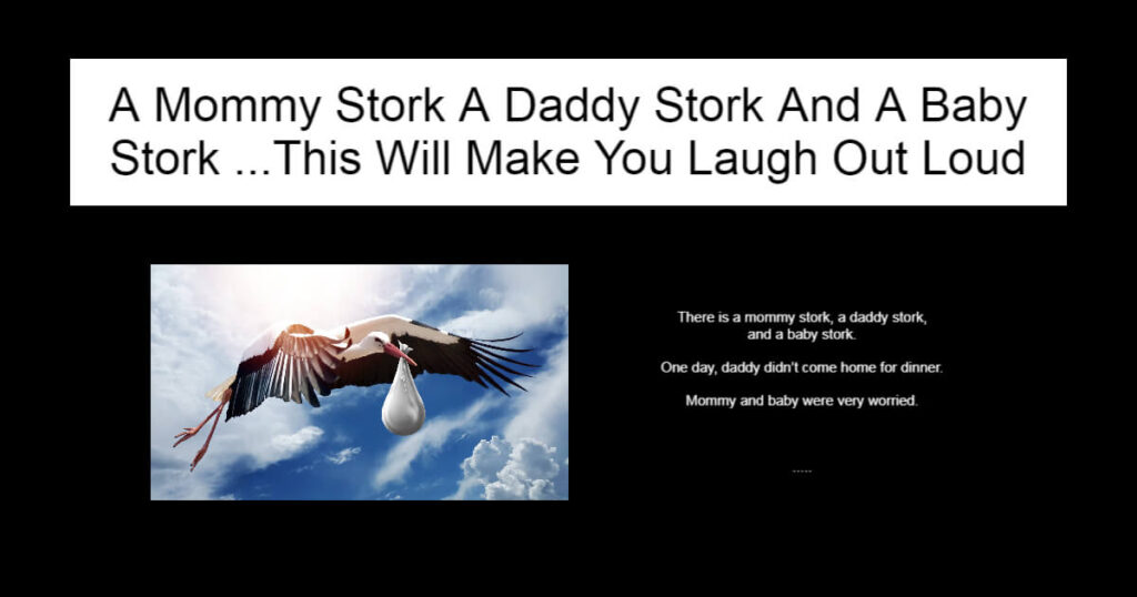 A Mommy Stork A Daddy Stork And A Baby Stork