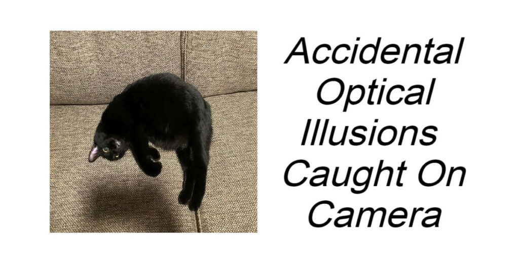 Accidental Optical Illusions Caught On Camera