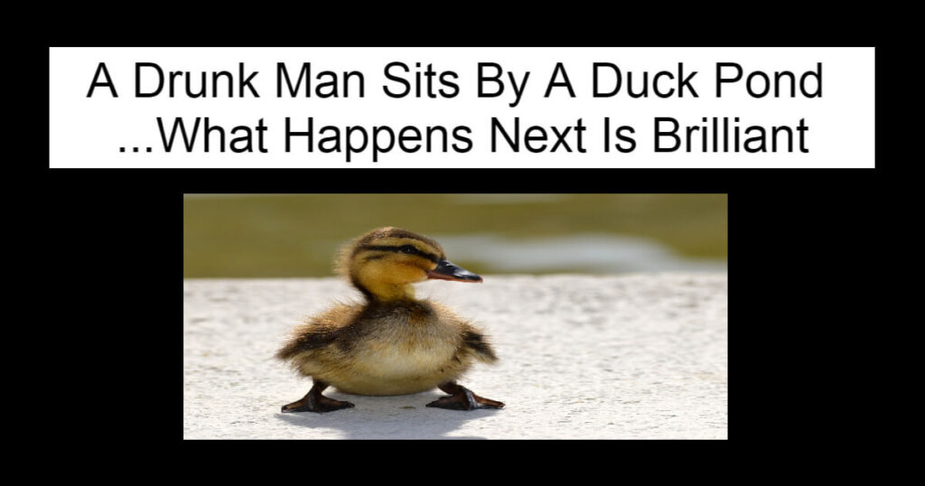 A Drunk Man Sits By A Duck Pond
