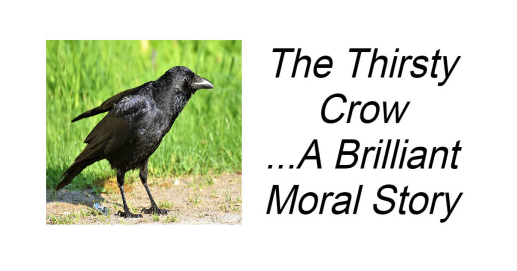 The Thirsty Crow