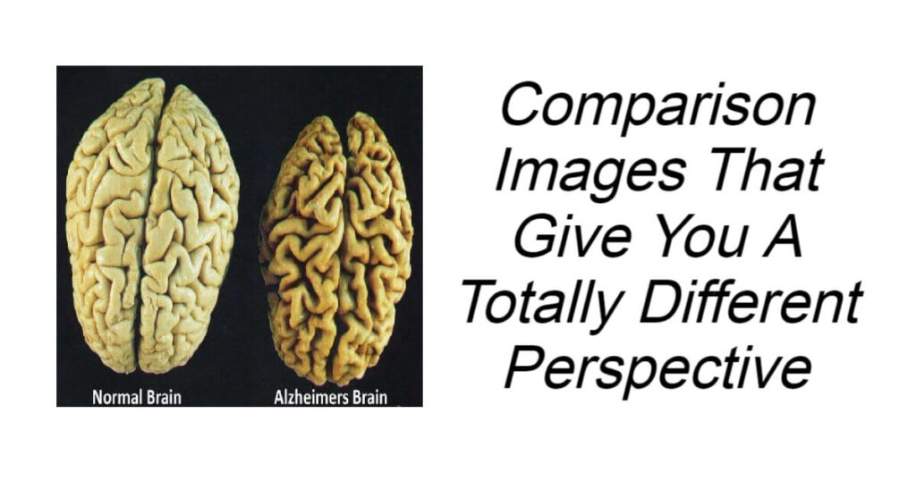 Comparison Images That Give You A Totally Different Perspective