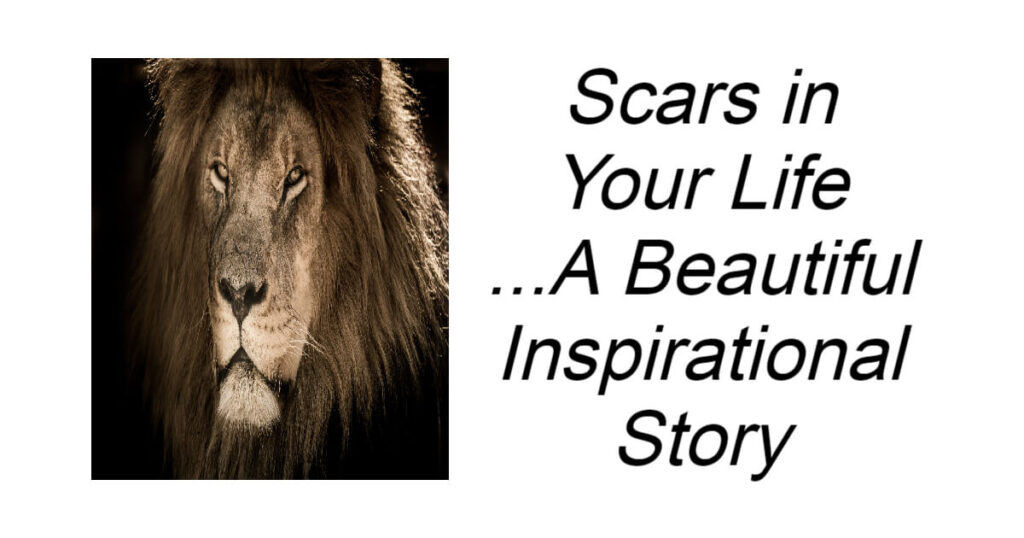 Scars in Your Life