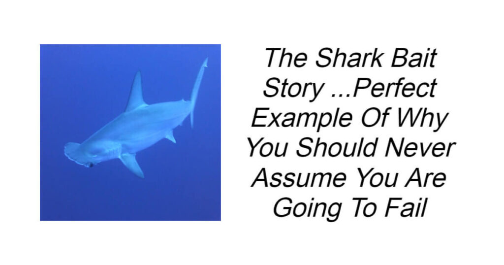 The Shark Bait Story