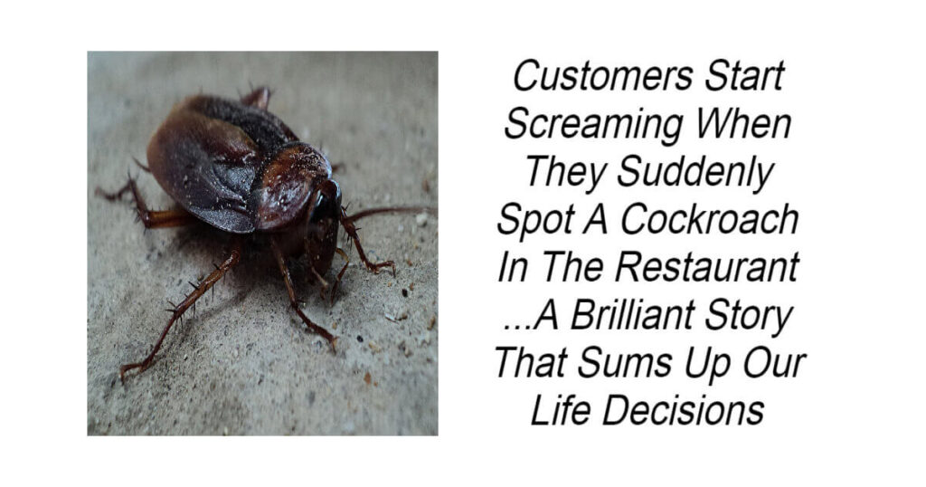 The Cockroach Theory
