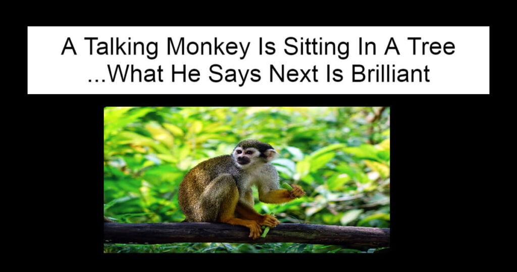 A Talking Monkey Is Sitting In A Tree