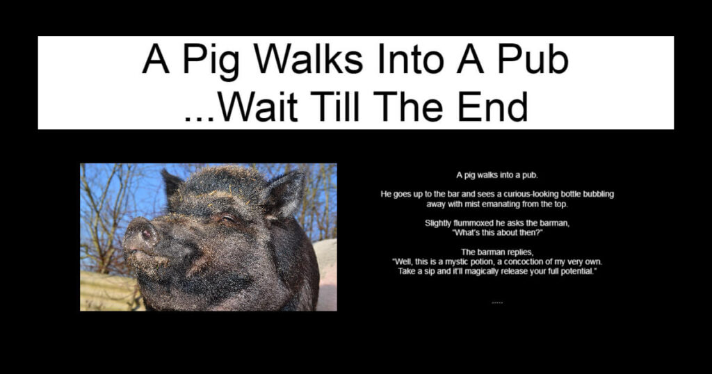 A Pig Walks Into A Pub