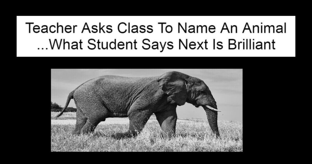 Teacher Asks Class To Name An Animal