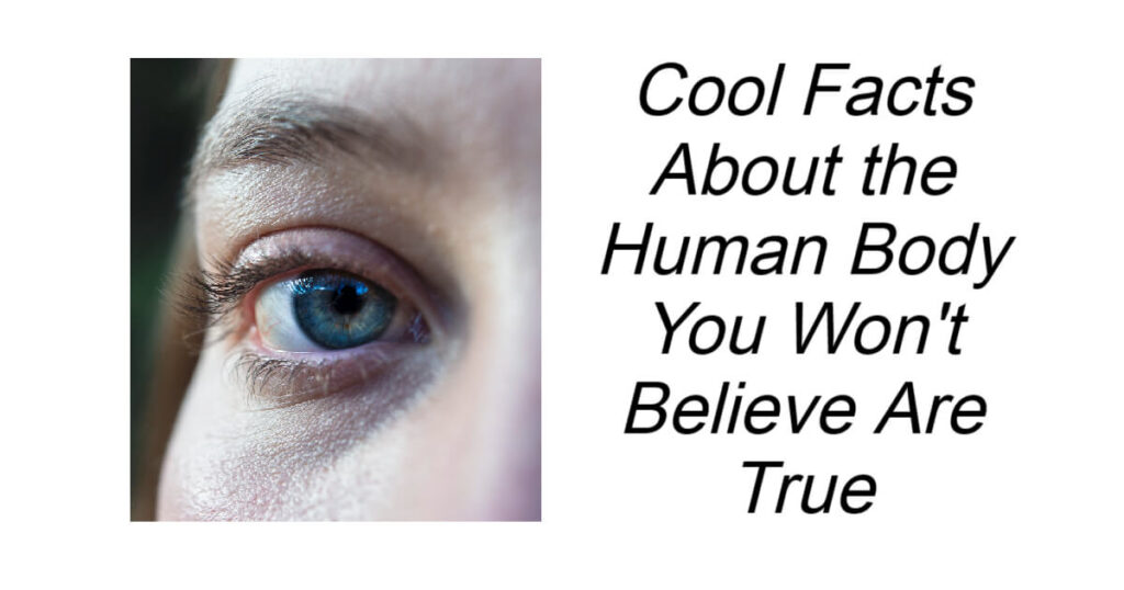 Cool Facts About the Human Body You Won't Believe Are True