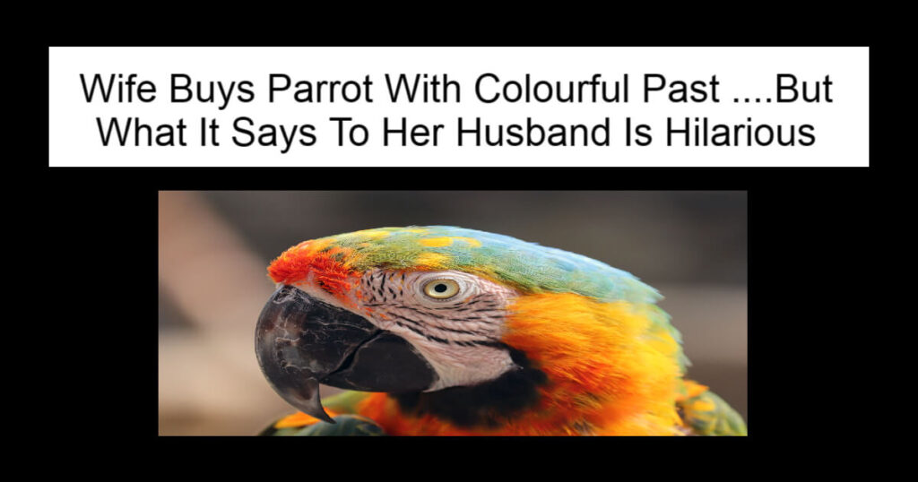 Wife Buys Parrot With Colourful Past