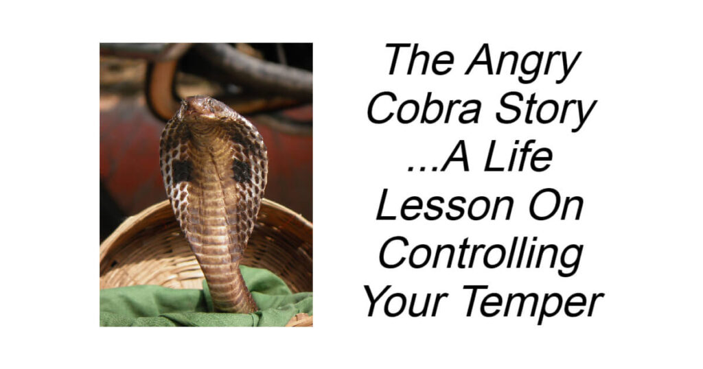 The Angry Cobra Story