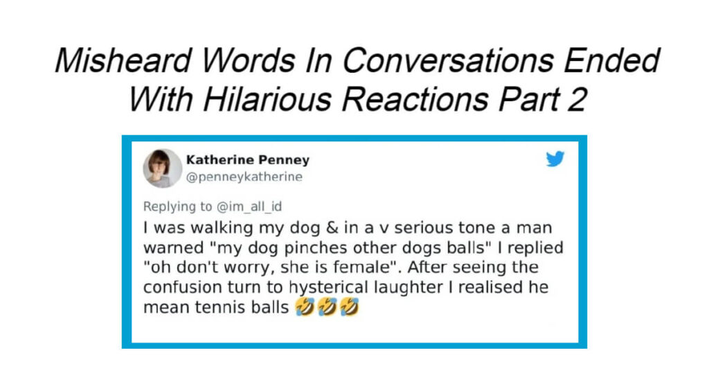 Misheard Words In Conversations Ended With Hilarious Reactions Part 2