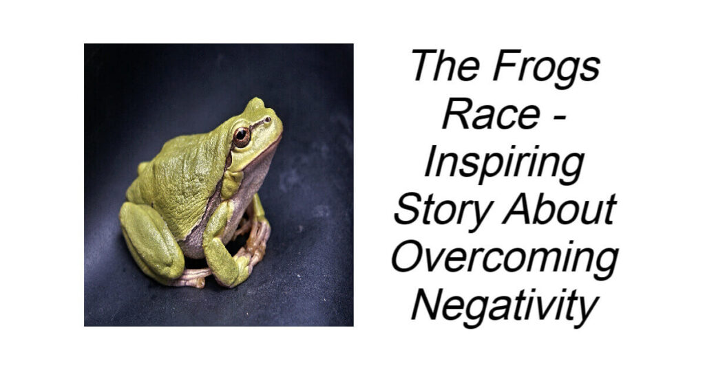 The Frogs Race