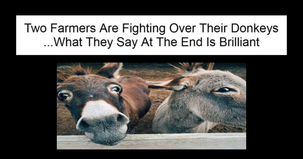 Two Farmers Are Fighting Over Their Donkeys