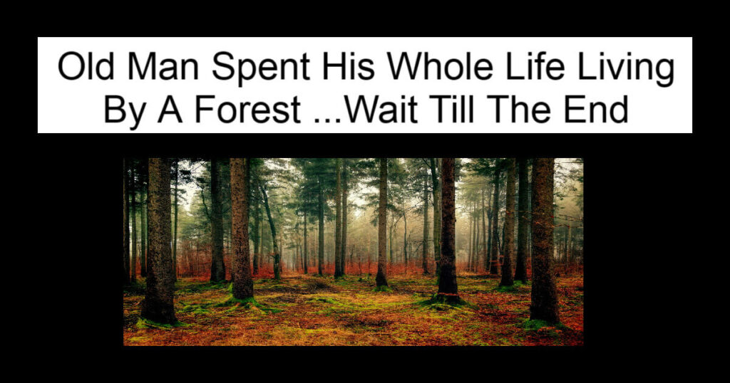 Old Man Spent His Whole Life Living By a Forest