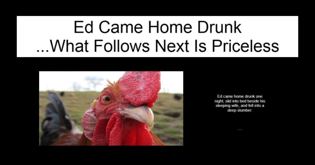 Ed Came Home Drunk