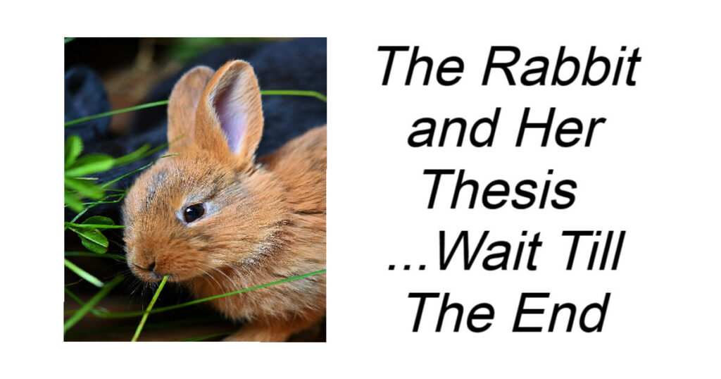 The Rabbit and Her Thesis