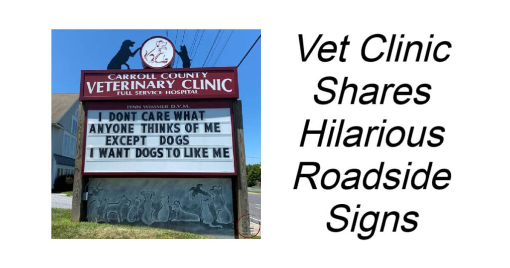 Vet Clinic Posts Hilarious Roadside Signs