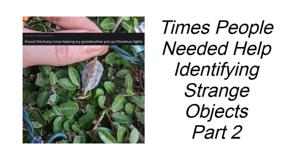 Times People Needed Help Identifying Strange Objects Part 2