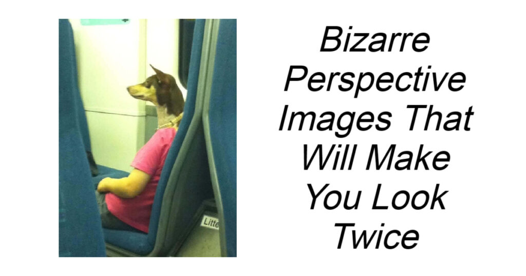 Bizarre Perspective Images That Will Make You Look Twice