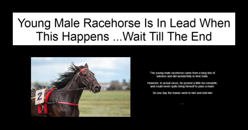 Young Male Racehorse Is In Lead When This Happens