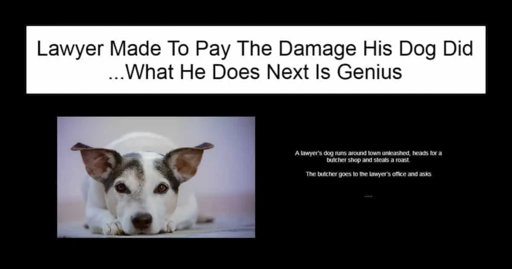 Lawyer Made To Pay The Damage His Dog Did