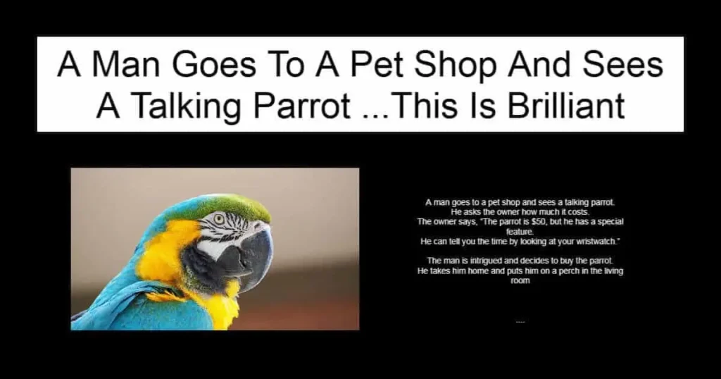 A Man Goes To A Pet Shop And Sees A Talking Parrot