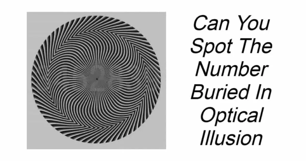 Can You Spot The Number Buried In Optical Illusion