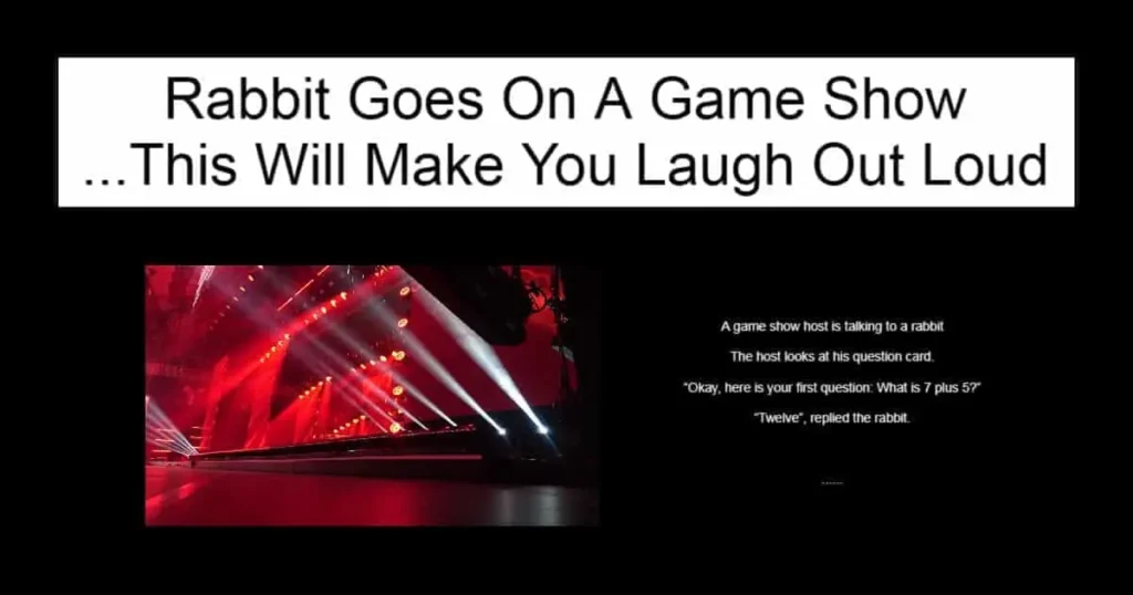 Rabbit Goes On A Game Show