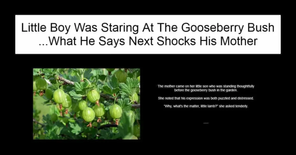 Little Boy Was Staring At The Gooseberry Bush