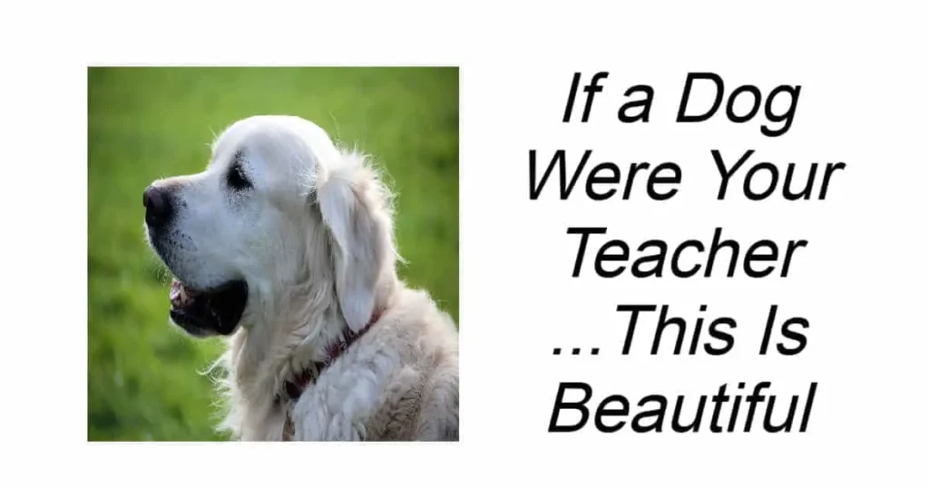If a Dog Were Your Teacher