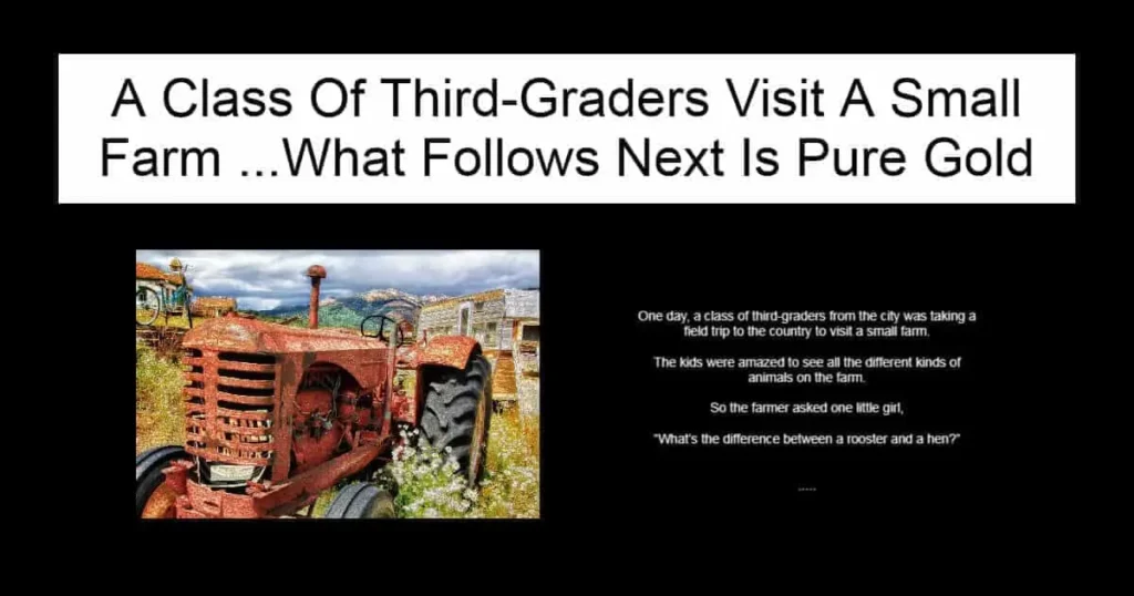 A Class Of Third-Graders Visit A Small Farm