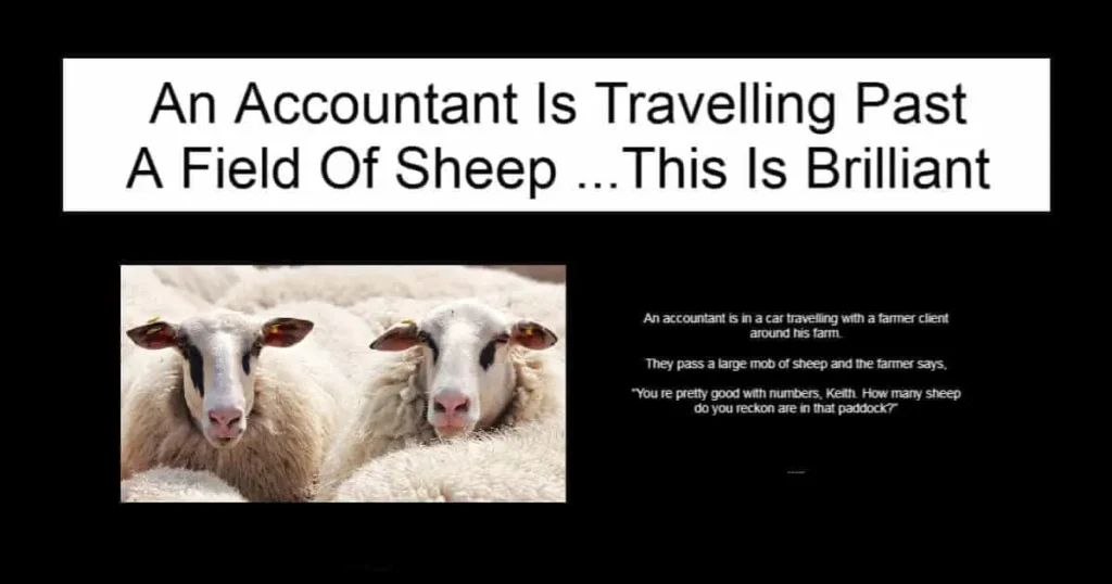 An Accountant Is Travelling Past A Field Of Sheep