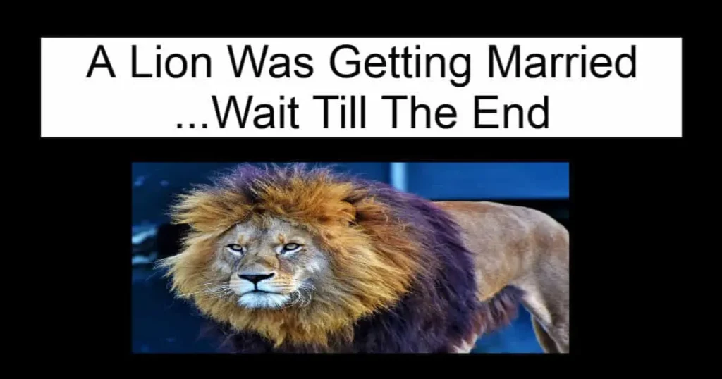A Lion Was Getting Married