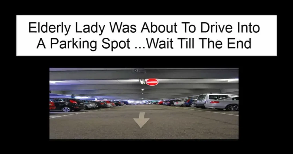 Elderly Lady Was About To Drive Into A Parking Spot