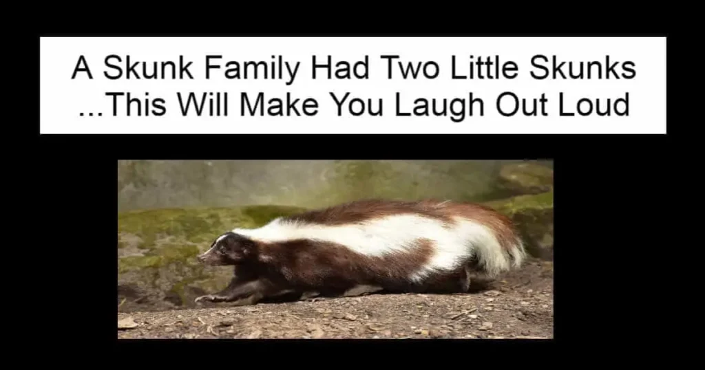 A Skunk Family Had Two Little Skunks