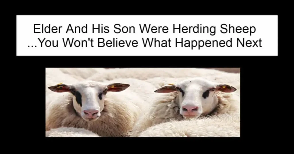 Elder And His Son Were Herding Sheep